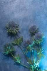 Detail Of Colorful Flowers In The Studio.abstract