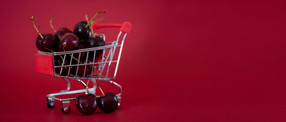 A metal mini supermarket cart filled with juicy red cherries on a bardic background. copy space.
