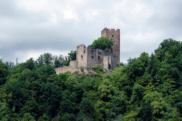 Fototapeta na wymiar Kastelburg in Waldkirch