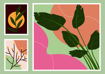 Cuadros decorativos de naturaleza, plantas vector hojas tropicales sobre fondos minimalistas y abstractos