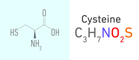 Cysteine (C3H7NO2S) molecule. Stick model. Structural Chemical Formula. Chemistry Education