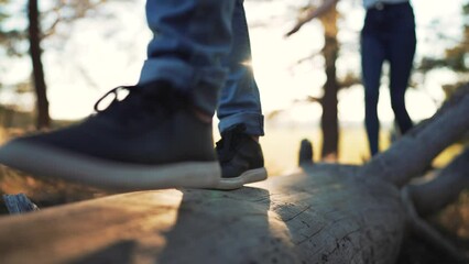 Group of children walks on a log in the park. People on the log.Children in the forest park walk in nature.Legs on a log summer walk.Teamwork of children in forest park.Girl child in nature at sunset. - Powered by Adobe