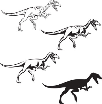 Compsognathus, dinosaur realistic image, vector, positions, illustration, black and white, silhouette, logo, trademark, chevron for decoration and design, packaging and posters