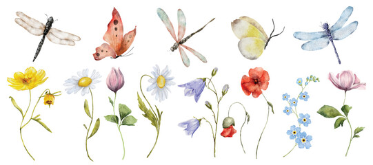 wildflowers watercolor botanical illustration with butterfly and dragonfly © EvgeniiasArt