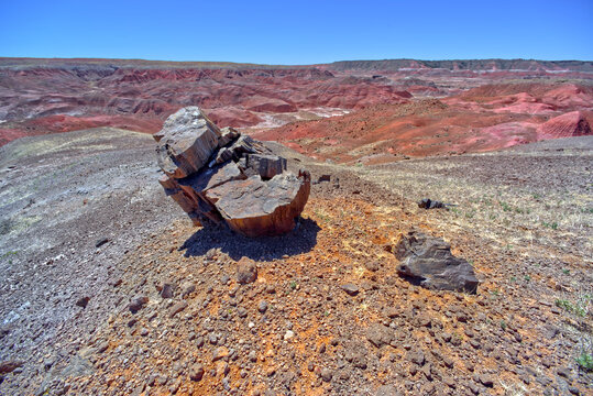 A petrified tree stump along the east rim of Tiponi Valley in Petrified Forest National Park, Arizona, United States of America