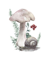 Hand painted watercolor composition with snail, mushroom and lingonberry.