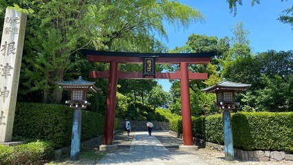 Fototapeta na wymiar Entry gate of “Nezu” shrine, red Torii gate and the stone pavement that leads to the main shrine. Year 2022 June 28th sunny Tokyo Japan
