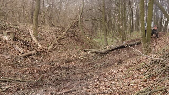 Skidder pulling logs on wood storage in forest. Spring has come in mountains after winter and heavy tracked tractors are pulling large tree trunks through mud.