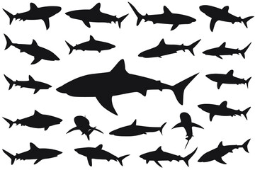 shark silhouette, Set of sharks. collection of silhouettes of predatory swimming marine fish