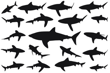 Fototapeta premium shark silhouette, Set of sharks. collection of silhouettes of predatory swimming marine fish