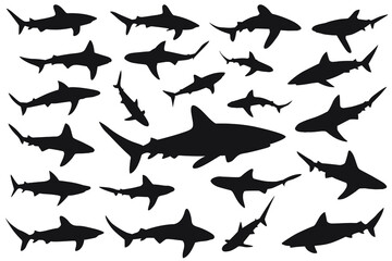 shark silhouette, Set of sharks. collection of silhouettes of predatory swimming marine fish