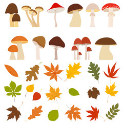 mushrooms with leaves set, autumn in flat design, isolated vector