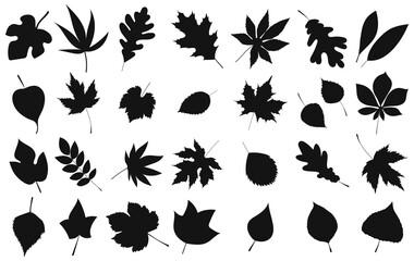 tree leaf set silhouette on white background, isolated, vector