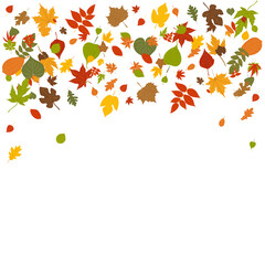 leaves autumn background in flat design, isolated vector
