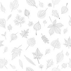 seamless pattern leaves on white background sketch, outline, isolated, vector
