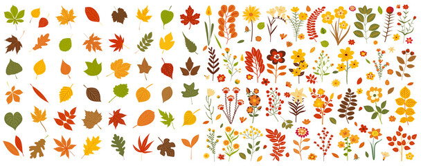 leaves, flowers set, autumn in flat design, isolated vector - obrazy, fototapety, plakaty