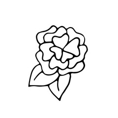 Rose. Flower. Vector hand drawn doodle illustration. Coloring. Black and white outline.