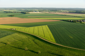 Fototapeta na wymiar Agricultural fields in spring from above