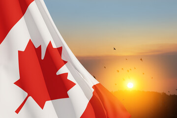Canada national flag waving on sunset sky with flying birds. Canada day. 3d-rendering.
