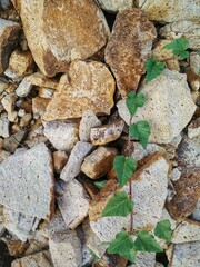 stone wall background