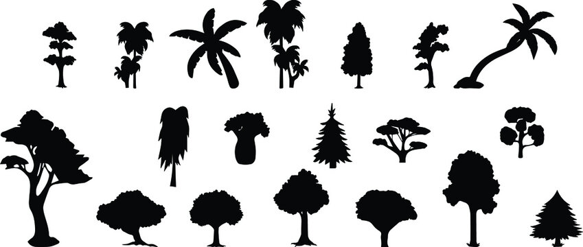 Different types of tree Silhouette. 