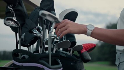 Woman choose golf clubs in equipment bag. Pro golfer prepare on green field game