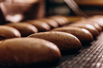 Automatic bakery production line with sweet cookies on conveyor belt equipment machinery in confectionary factory workshop, industrial food production