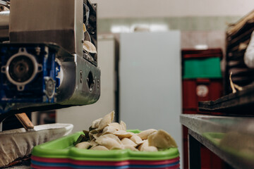 Automatic stuffed dumpling making machine with conveyor line system.