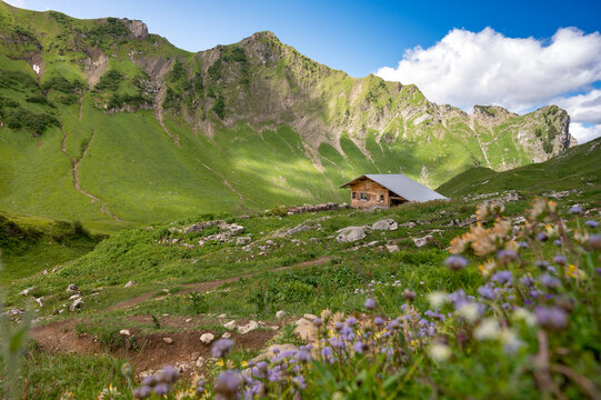 Alpenwiese in oberallg&auml;uer Alpen mit einer H&uuml;tte - Wanderweg zum Schrecksee in Hinterstein, Bad Hindelang, Oberallg&auml;u, Bayern, Deutschland