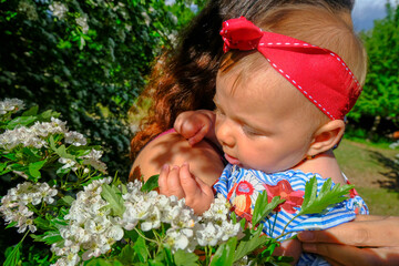 Mom hugs her baby girl across the blooming bushes. Parenting. Girl with red bow and in a blue striped dress 