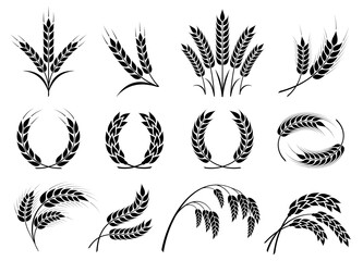 Wheat icons set. Grain, spikelet and wreath. Organic wheat, bread agriculture and natural eat, rice isolated on white background. Isolated black silhouette. Vector illustration - 513782361