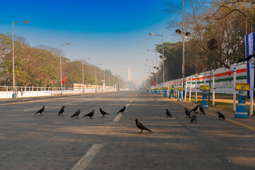 View of empty Red Road in the morning with blue sky above. The crows have gathered together due to...