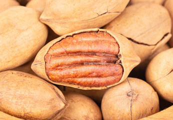 Pecan nuts closeup