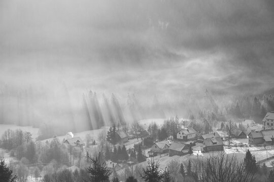 Black and white photo of sunrise over the Polish village of Koniakow with forest vegetation through which the sun rays pass in the morning mist