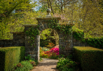 Fototapeta na wymiar Gorgeous colors of the azeleas and rhododendron flowers and bushes along path in delightful garden in the spring