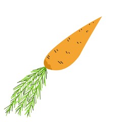 orange carrot isolated on white background