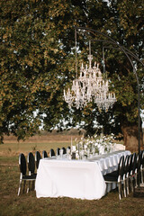 The delicate decor of the wedding banquet table in pastel colors. Wildflowers, crystal glassware, candles. Against the background of a large tree, a crystal chandelier on top, illuminating the table.