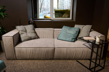 Comfortable sofa upholstered with light velour fabric, pillows and a small journal table displayed for sale in a furniture design store.