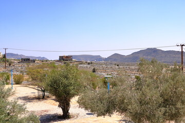 Scenic View of the Jebel Akhdar Area in Al Hajar Mountains in Oman