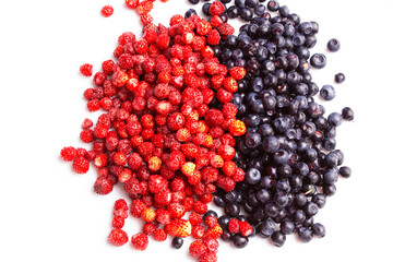 wild strawberries and blueberries, fresh wild berries