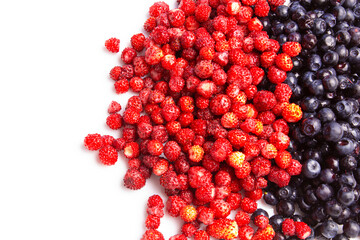 wild strawberries and blueberries, fresh wild berries