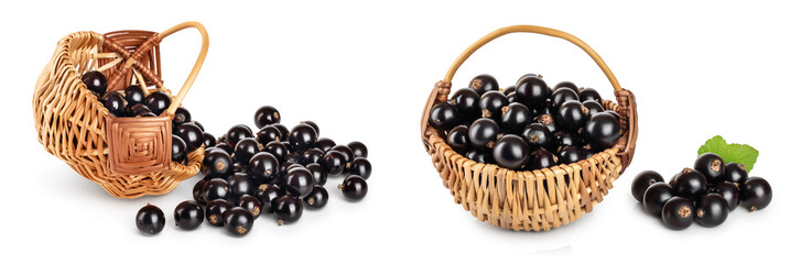 Pile of black currant and in basket isolated on white background. Set or collection