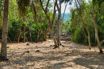 Fototapeta premium El Tajin ruins in Veracruz , Mexico. 2022 04 02. Pre - Columbian archeological site southern Mexico, one of the largest and most important cities of the Classic era of Mesoamerica, from 600 to 1200 CE