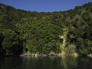 Fototapeta na wymiar Green Hill Covered with Trees with a Cliff Descending Into a Blue Lake. Landscape Without People. New Zealand Landscape with Rotomahana Lake.