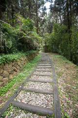 Fototapeta premium Old railway track in Fenqihu Trail, Fenchihu Old Town, Taiwan