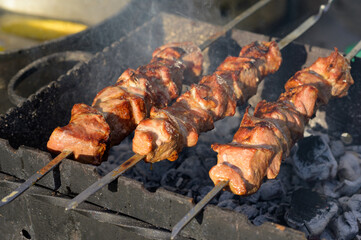 meat shish kebab on the grill. traditional outdoor barbecue picnic. grilled meat bbq