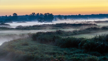 Poranne mgły w Dolinie Narwi, Podlasie, Polska © podlaski49