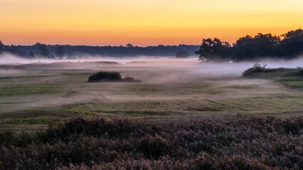 Poranne mgły w Dolinie Narwi, Podlasie, Polska © podlaski49