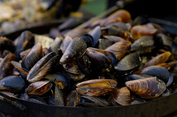 Cooked fried mussels with lemon. Street seefood