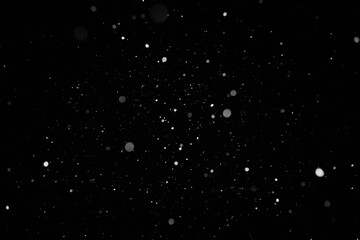 Snow background. Snow on a black background. Snowflakes for overlay.